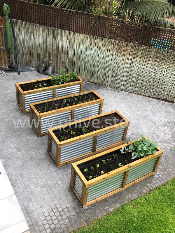 corrugated raised garen beds sedgefield garden route