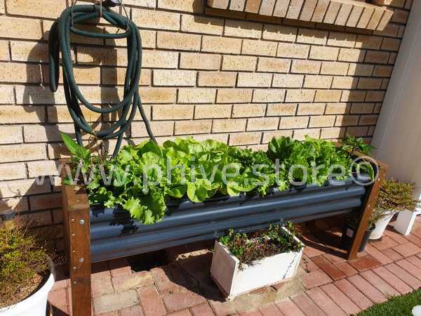 planter boxes greatbrak garden route