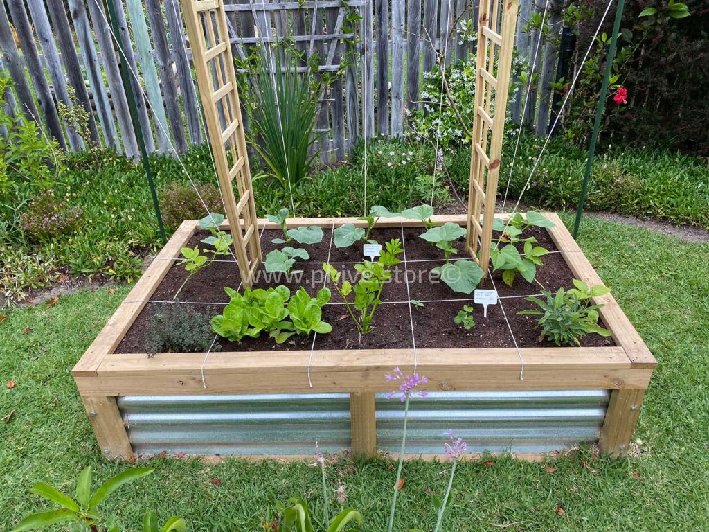 planter boxes knysna garden route eckardt