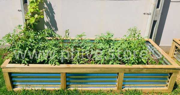 planter boxes plettenberg bay garden route