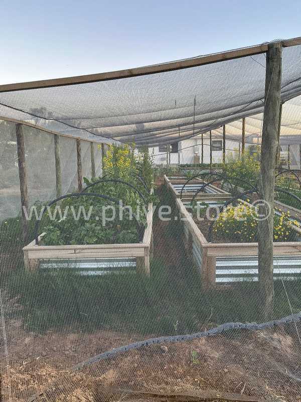 planters knysna garden route suzette