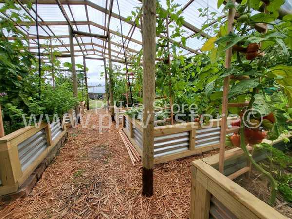 planters sedgefield garden route