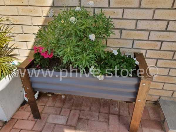 plantesr greatbrak garden route