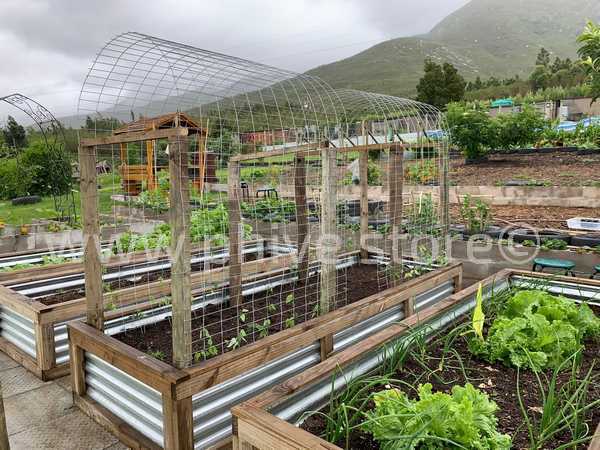 raised beds george western cape