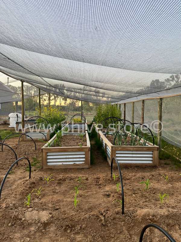 raised beds knysna garden route suzette