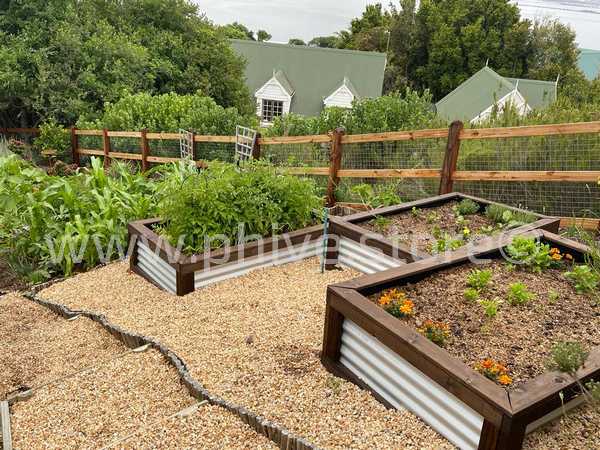 raised beds knysna garden route