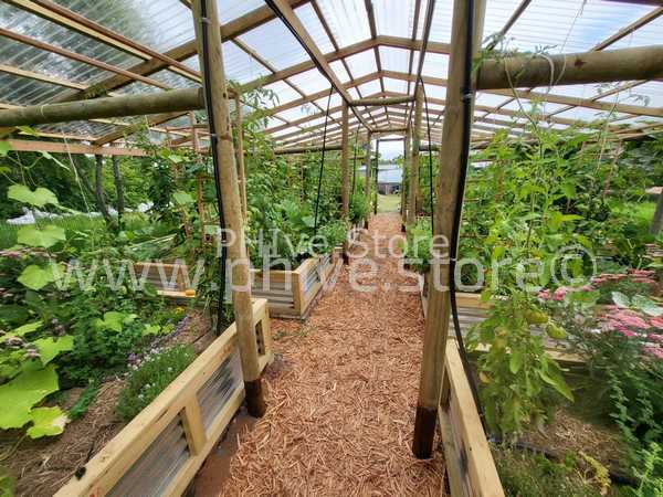 raised beds sedgefield garden route