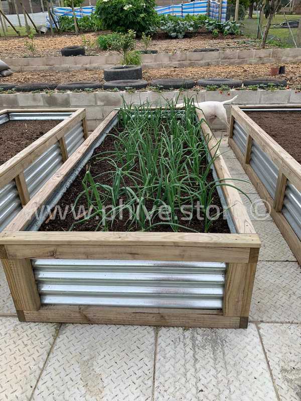 raised garden beds george western cape