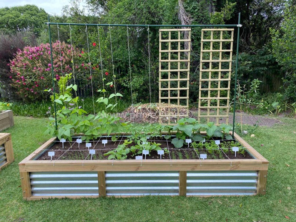 raised garden beds knysna garden route eckardt