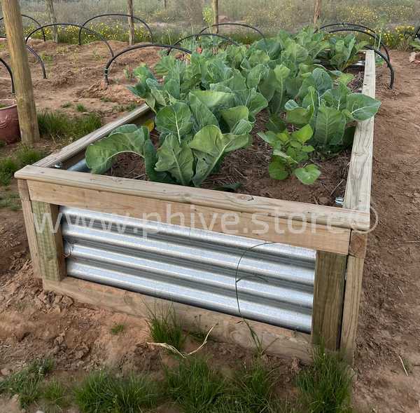 raised garden beds knysna garden route suzette