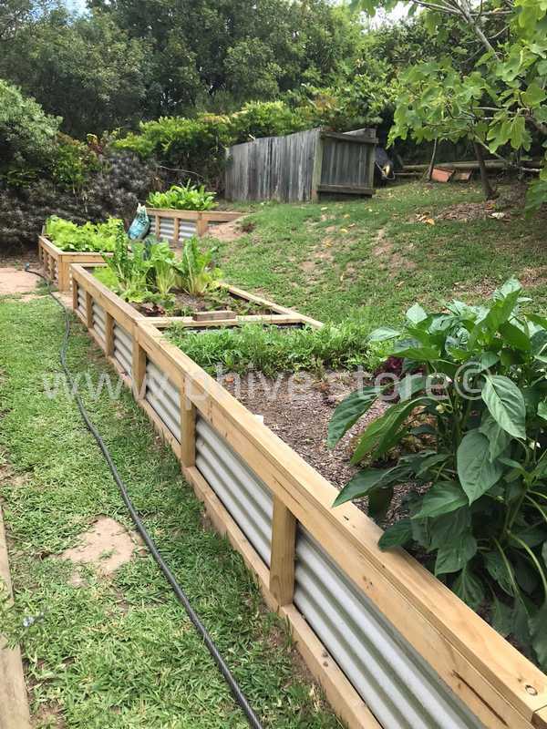 raised garden beds knysna wolf