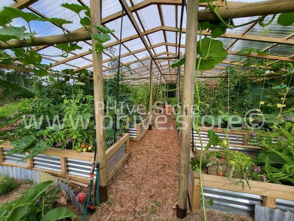 raised garden beds sedgefield garden route