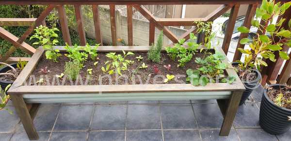 raised planter george western cape waldo