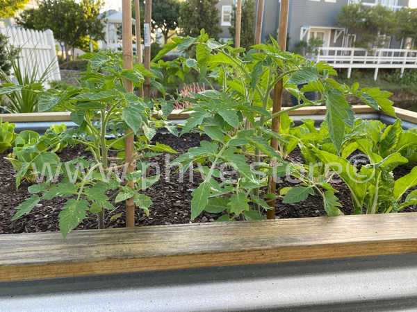 wooden and metal raised beds knynsa mike