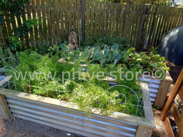 zincalume pine raised beds sedge garden route