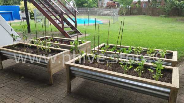 zincalume planter boxes sedge garden route