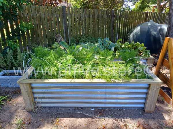 zincalume raised beds sedge garden route