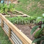 raised garden beds for beginners