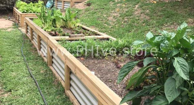 raised garden beds for beginners