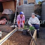 raised garden beds for elderly and disabled