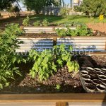 raised garden beds for herbs