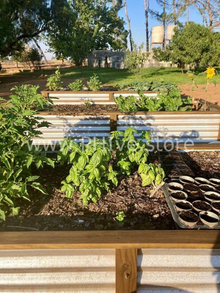 raised garden beds for herbs