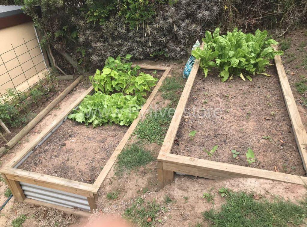 raised garden beds for slope