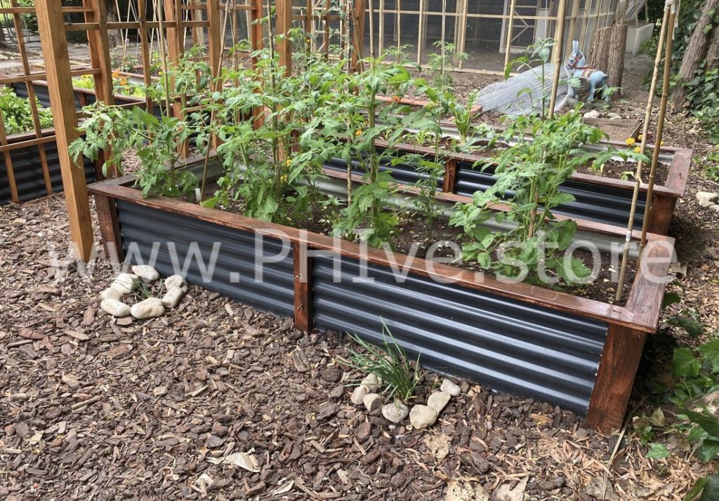 raised garden beds for tomatoes