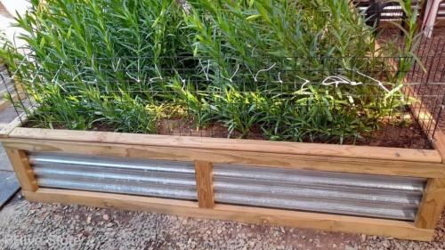 client corrugated galv raised beds