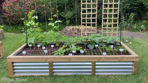client corrugated raised garden beds