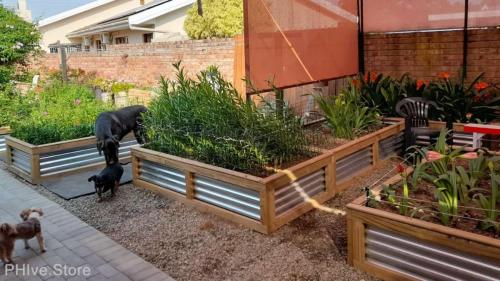 metal corrugated galv raised beds