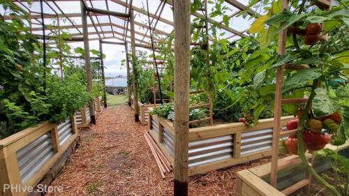 metal corrugated galvanise raised beds