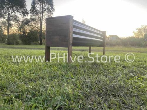 raised garden planter