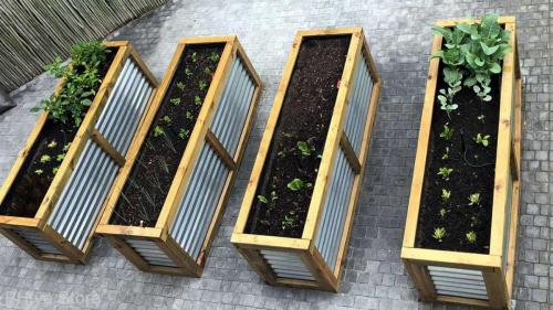 waist high corrugated galvanise raised beds